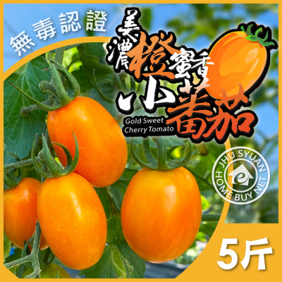 【家購網嚴選】美濃橙蜜香小番茄 (5斤/盒)