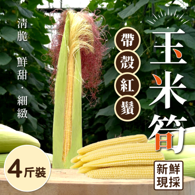 【家購網嚴選】帶殼紅鬚玉米筍4斤