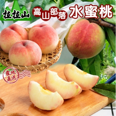 【禾鴻】產地直送拉拉山香甜多汁水蜜桃禮盒8顆(1盒)