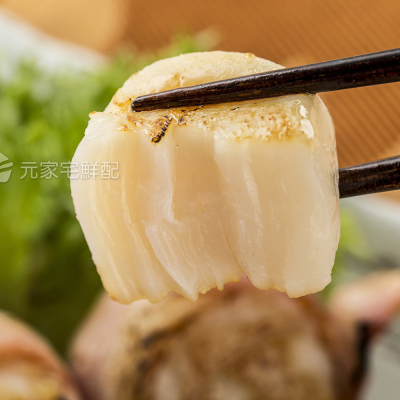 領券再折【元家】日本北海道3S生食級干貝1000g 贈元家港式蘿蔔糕1.1kg