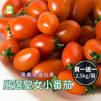 【每日宅鮮】台灣聖女番茄(2.5kg±5%x1盒/買一送一 共收到兩盒)