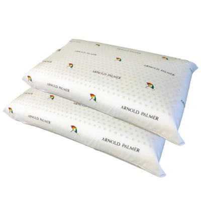 【Arnold Palmer雨傘牌】透氣立體結構棉網乳膠枕2入(麵包枕)