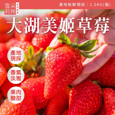 【雪莉朵辣嚴選】大湖美姬草莓1號果 1.5kg