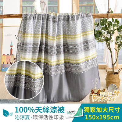 【生活工場】200織紗100%天絲舖棉涼被/四季被5X6.5尺-辰渝